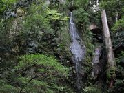 Yanwenli̔ѐs̓eʐ^4