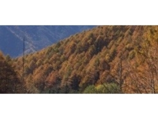 �g�t_�x�m���䍂���i�򕌌����Ð�s�j