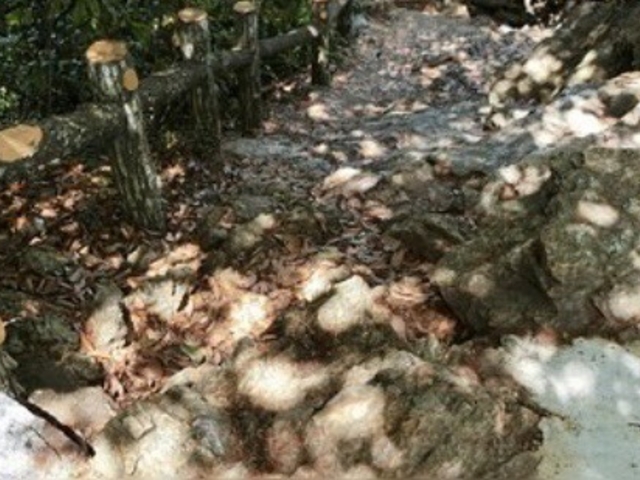 �o��_���؎R