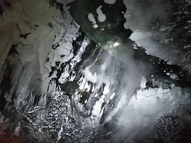 ���̏ォ��ł�_���Ђ��̑�