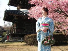 にゃんさんの別嬪kyotoへの投稿写真1
