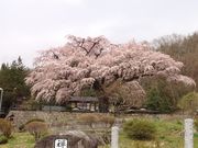 stonemeister̉i򎛂̎}̓eʐ^1