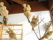 炢̓̉w a̗ЂԂ̓eʐ^2