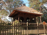 �����̂�������̕Љ��~�т̓��e�ʐ^1