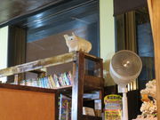 yosshy̐HH[ ӂ̓eʐ^2