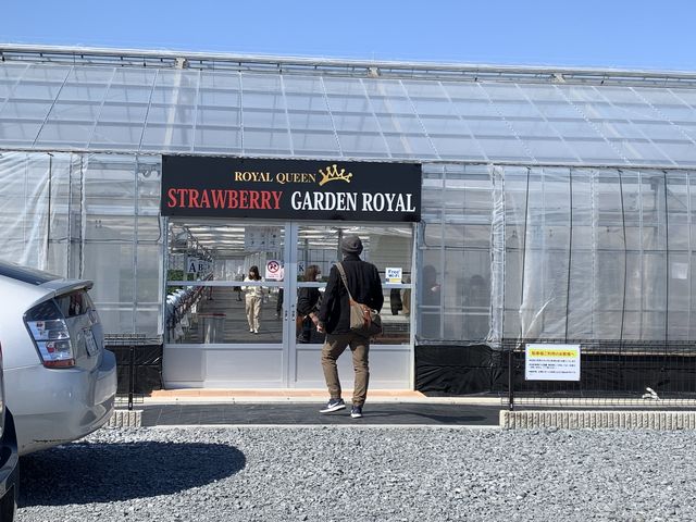 �n�E�X ����_STRAWBERRY GARDEN ROYAL