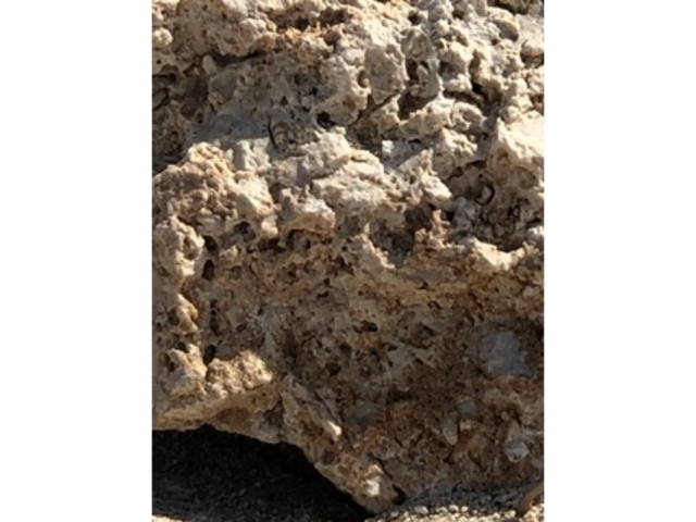 �n�`_�~�[�t�K�[