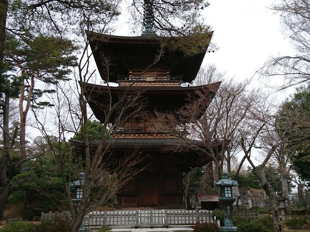 �Î�̒���..._������