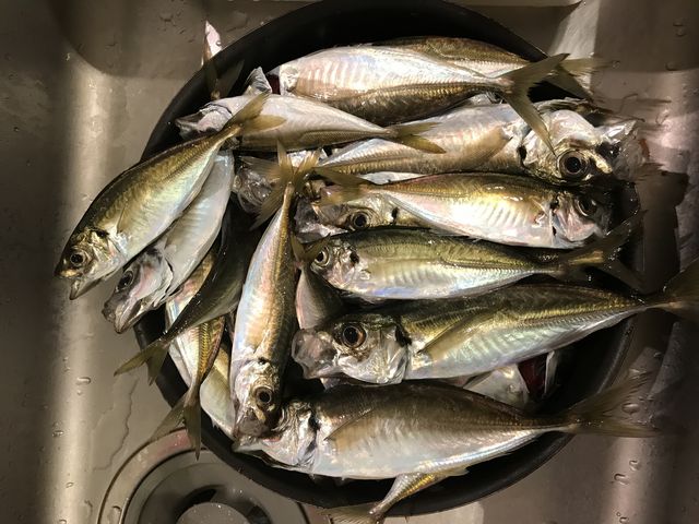 �A�W37�C�I�務�I_�H�c�ޑD�`����