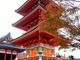 しちのすけさんの清水寺三重塔の投稿写真1