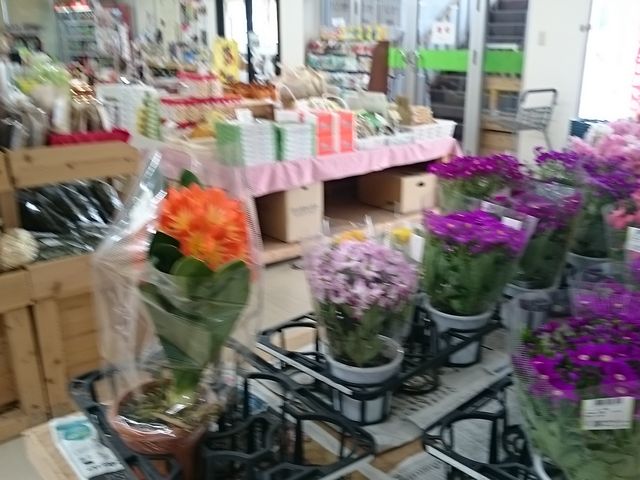 ��������_���̉w ������