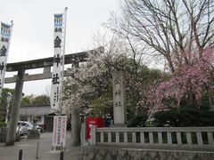 �ߋT���|�~���̋��_�Ђւ̓��e�ʐ^1