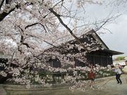 ߋT|~̖É\y̓eʐ^3