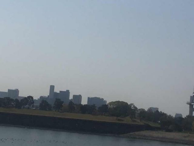 ���̂悤�ł����A�n�����ł��B_������