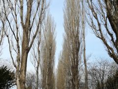 kelly̖k|v؂ւ̓eʐ^1