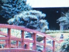 ̓{뉀izej[I[^jjւ̓eʐ^1