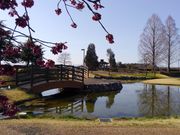 ̂肳̎pAjeBp[N̓eʐ^1