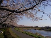 ̂肳̎pAjeBp[N̓eʐ^3