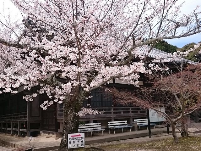 �@���ƍ�_���R���^������