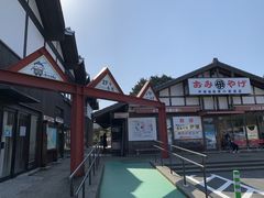 񂳂̓̉wM̗ɍւ̓eʐ^1