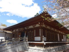トロムソさんの弘法寺（千葉県市川市）の投稿写真1
