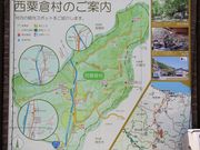 Ƃ񂳂̐qόē̓eʐ^5