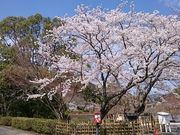 �܂�܂���̓��s���̓��e�ʐ^1