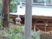 �e�c��������̓��}�_�Ђ̓��e�ʐ^1