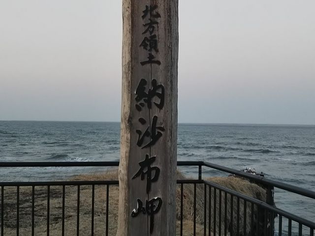 �[���z���A��������_�[���z��