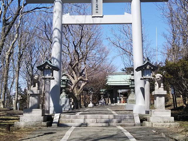 ����������������܂�_�����䗅�_��