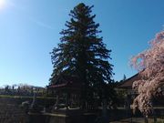 stonemeister̉i򎛂̃REEU̓eʐ^1