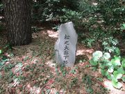 񂯂񂳂̘̏LՂ̓eʐ^1