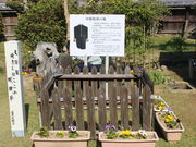 ����������̐��������h�w�Վ����ق̓��e�ʐ^4