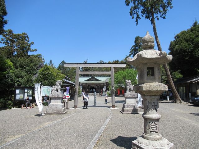 �R�̏�Ƃ͎v���Ȃ��l�ȍL���~�n_�����o�_��