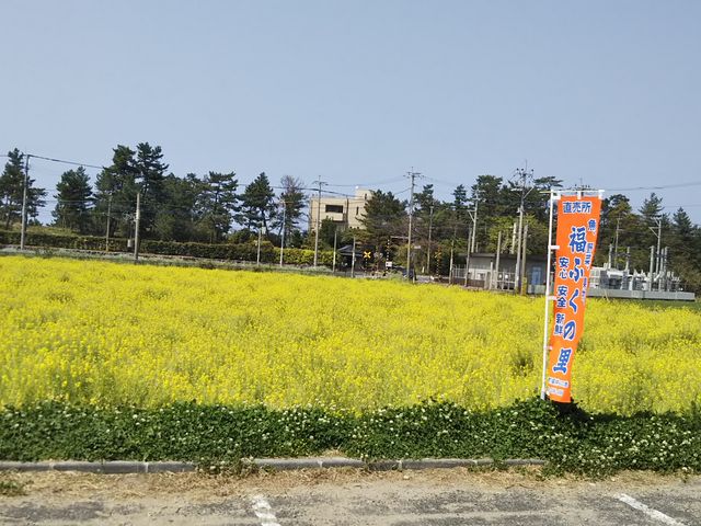 X̑O̍؂̉ԂJŁAƂĂꂢłI_ӂ̗