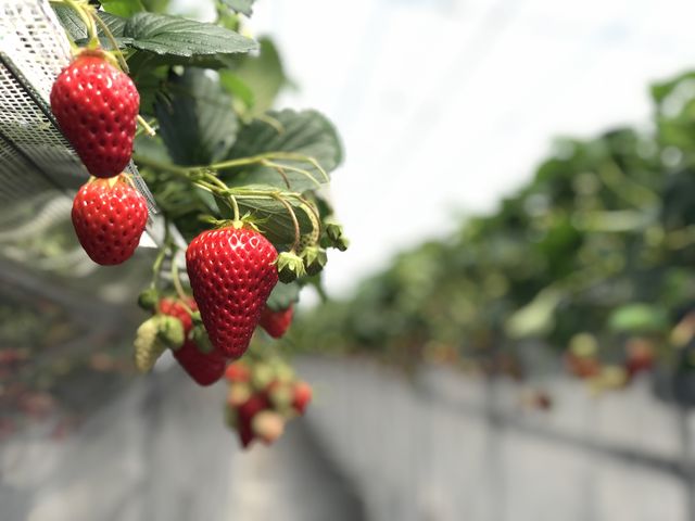 ���ݍ͔|_�C�ӂ̂�������