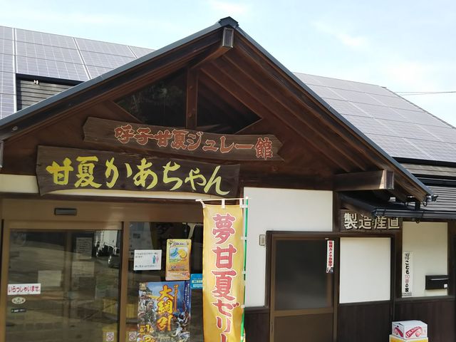 fpŉ݂̂邨XőDɂȂ܂B_ÉĂ