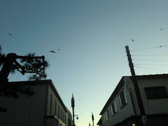 Kuda12̊qʂւ̓eʐ^1