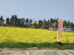 �����悵����̕��ӂ��̗��ւ̓��e�ʐ^1