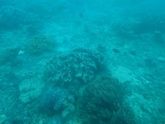 hatsũEGXg}ւ̓eʐ^1