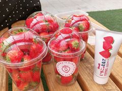 �܂ȁ�����̔���C�`�S�@���n�E�X�ւ̓��e�ʐ^2