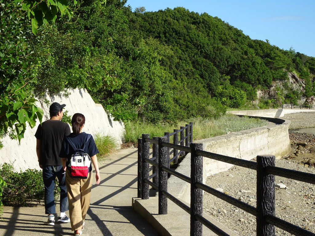 山口県野外露出画像 