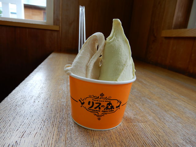 ԐlC̃sX^`Ił_qiX@X̐Xj