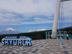 D̂̎OXJCEH[Nւ̓eʐ^1