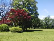 ߋT|~̉[Ղ̓eʐ^1