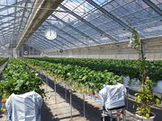 }~[̐ፑAOp[N 򂢂̓eʐ^2