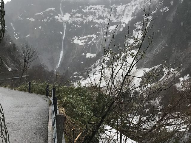 �c��̒��̖̏���B_�̖���