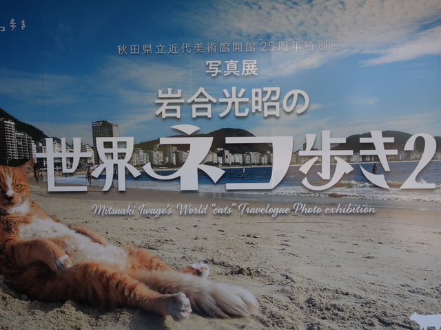 ���p�ّO�̎ʐ^_�H�c�����ߑ���p��