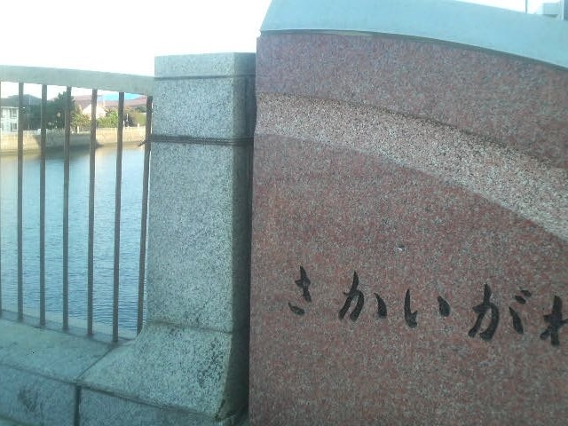 ����_����