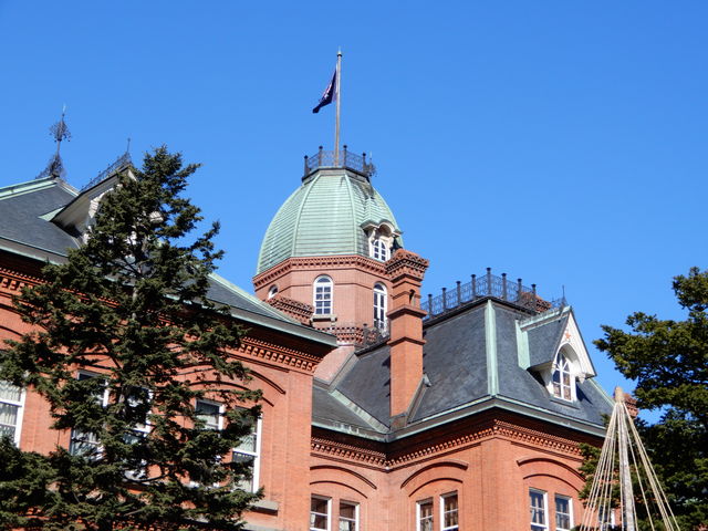 �ԃ����K���Y��ł�_�k�C�������{����(�Ԃ�񂪒���)